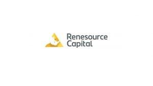 What is Renesource?