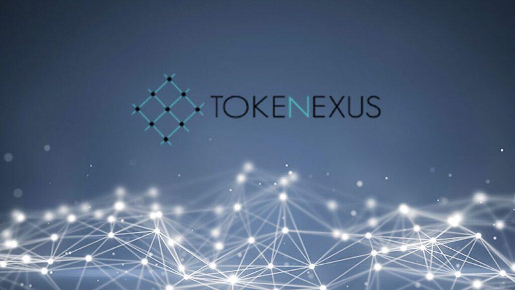 based on the information available about this company, what tokenexus opinion is appropriate?